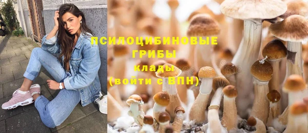 каннабис Баксан