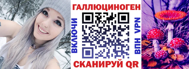 Галлюциногенные грибы Psilocybine cubensis  Нефтегорск 